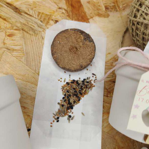 bomboniere semi da piantare little piantami ecofattoart
